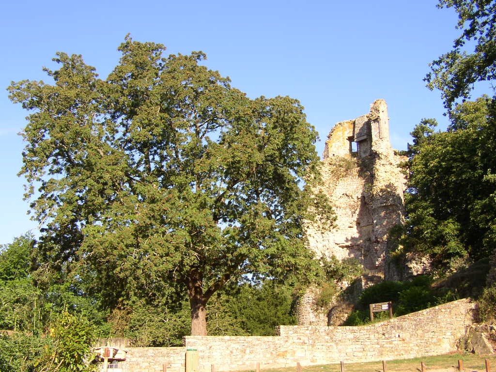 Le bois de Rumignon et le parc du Château à SAINT-AUBIN-DU-CORMIER